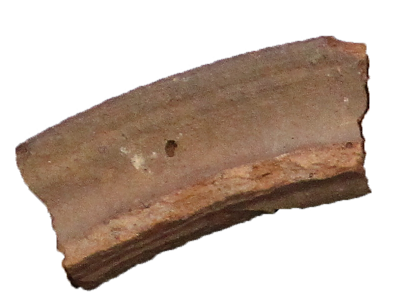 [Uncaptioned image]
