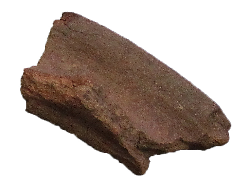 [Uncaptioned image]