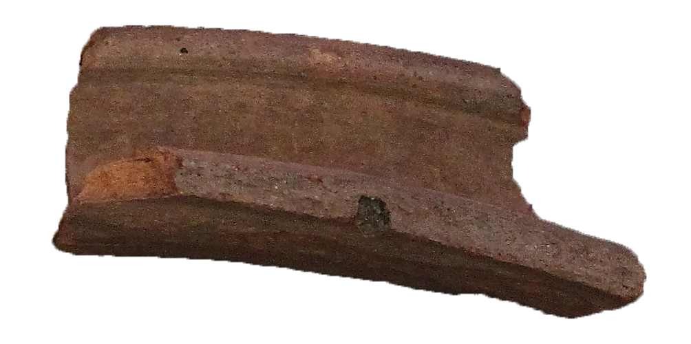 [Uncaptioned image]