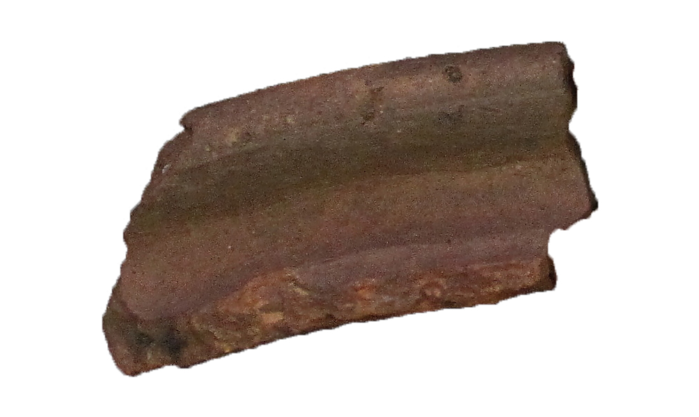 [Uncaptioned image]