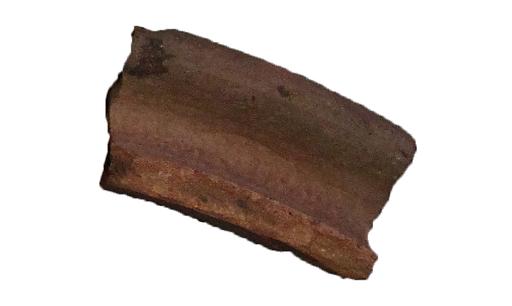 [Uncaptioned image]