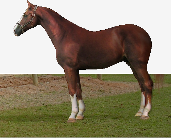 Refer to caption