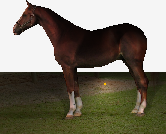 Refer to caption