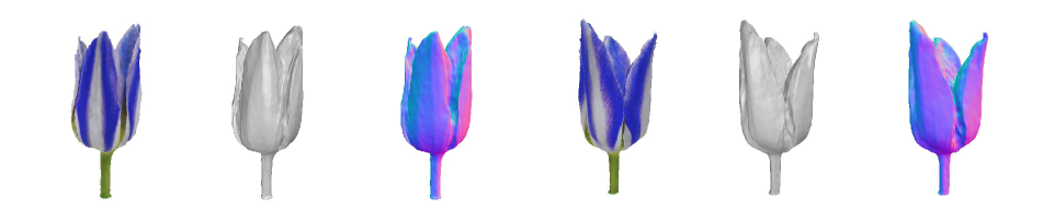 Refer to caption