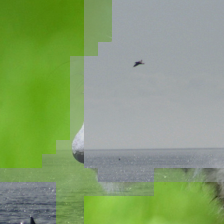 Refer to caption