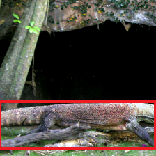 Refer to caption
