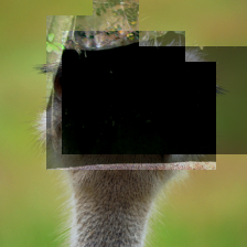 Refer to caption