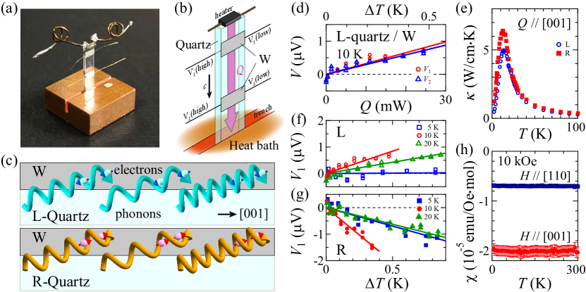 [2401.17158] Chirality-Induced Selectivity Of Phonon Angular Momenta In ...