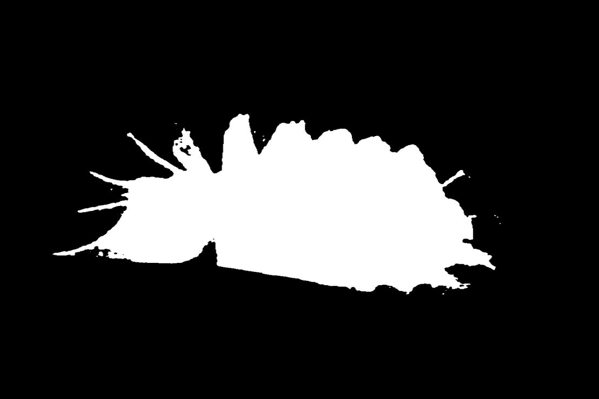 Refer to caption