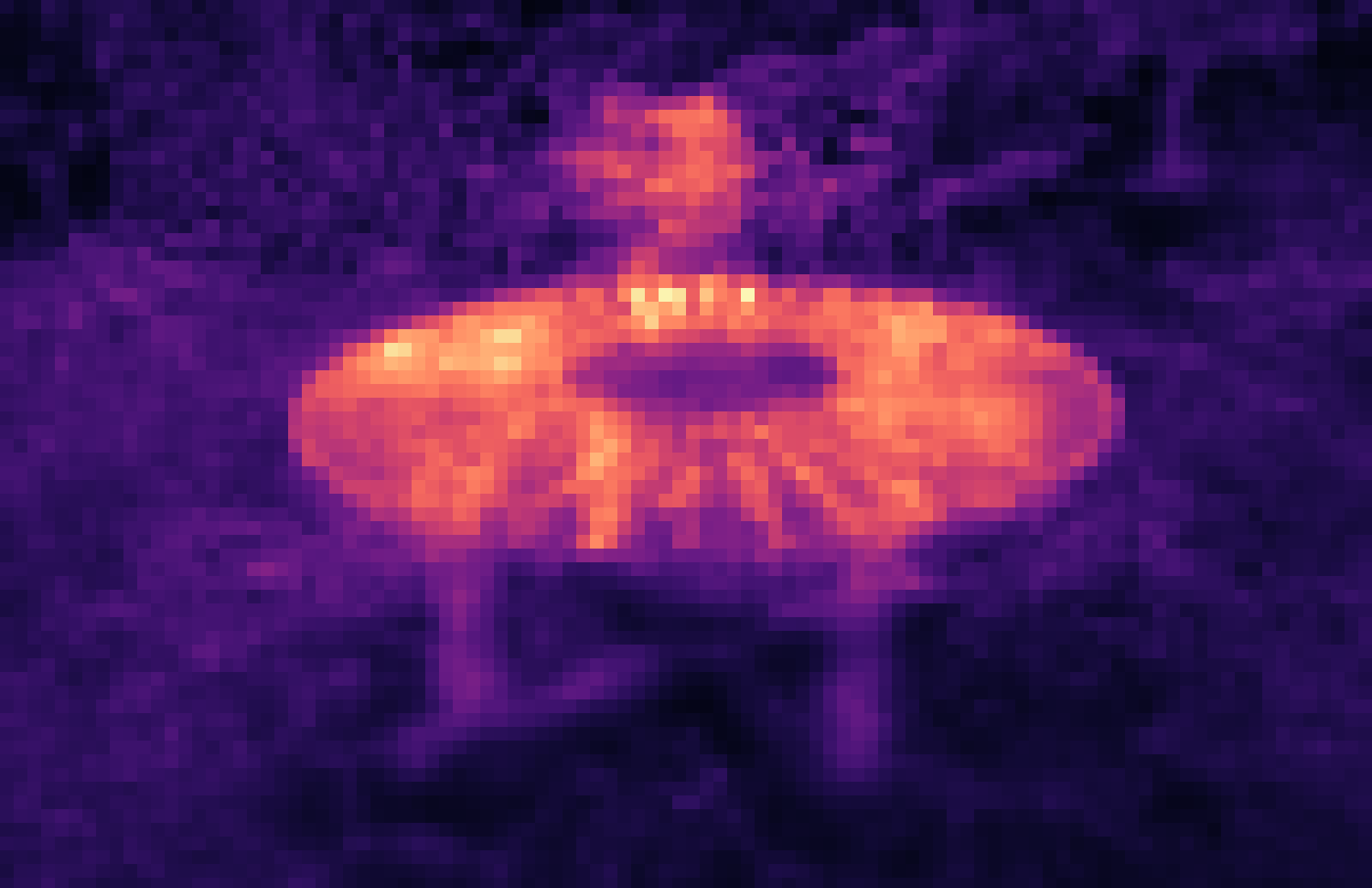 Refer to caption