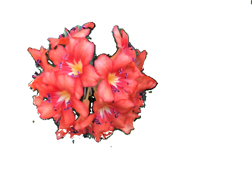 Refer to caption