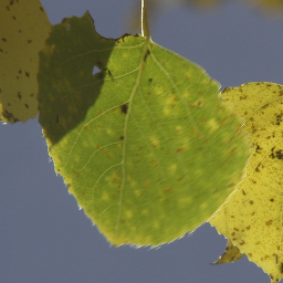 Refer to caption