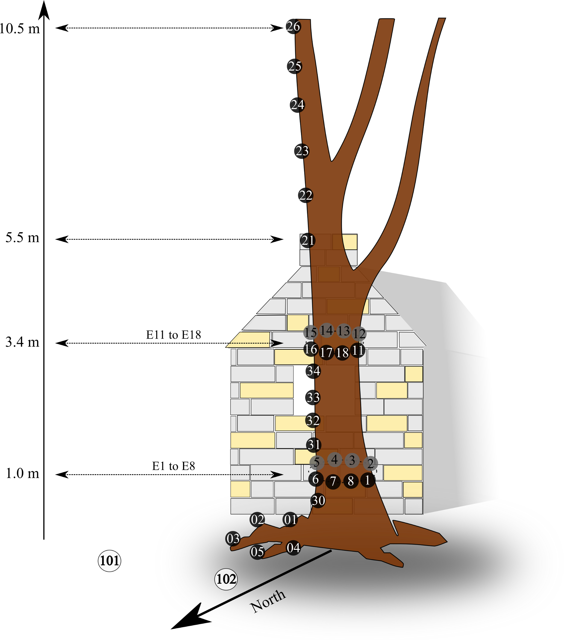 Refer to caption