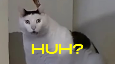 [Uncaptioned image]