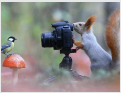 [Uncaptioned image]