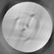 [Uncaptioned image]