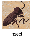 [Uncaptioned image]
