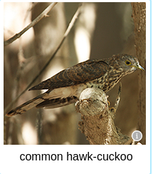 [Uncaptioned image]