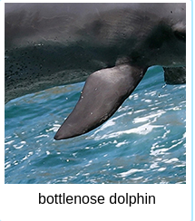 [Uncaptioned image]