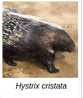[Uncaptioned image]