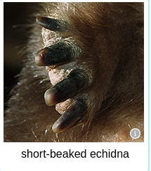 [Uncaptioned image]