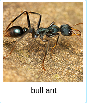 [Uncaptioned image]