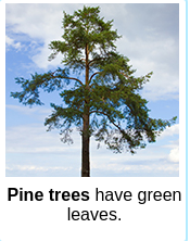 [Uncaptioned image]