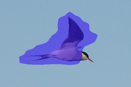 Refer to caption