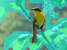Refer to caption