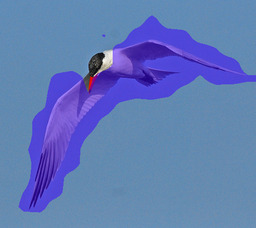 Refer to caption