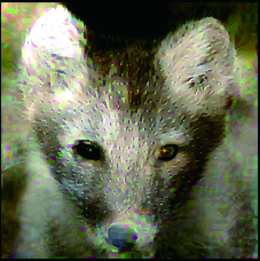 Refer to caption