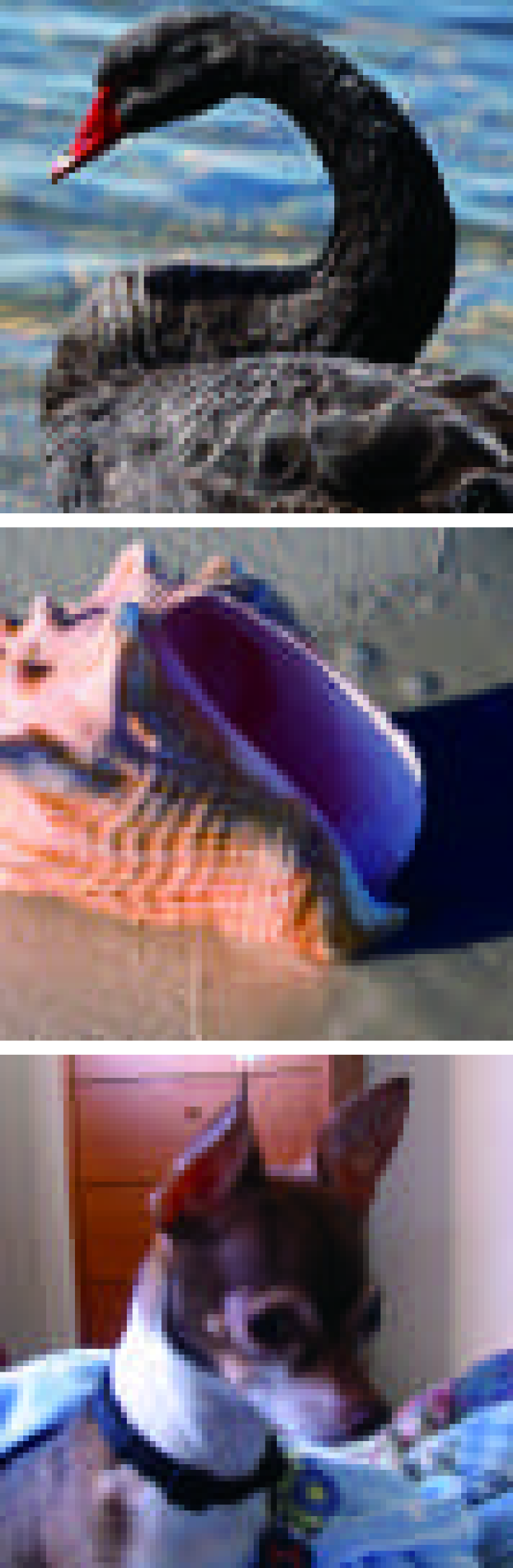 Refer to caption
