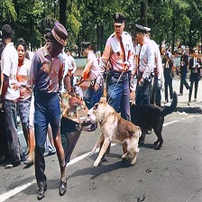 Refer to caption