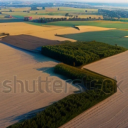 [Uncaptioned image]