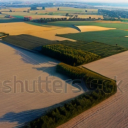 [Uncaptioned image]