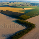 [Uncaptioned image]
