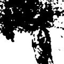[Uncaptioned image]