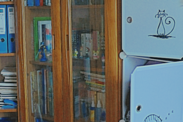 Refer to caption