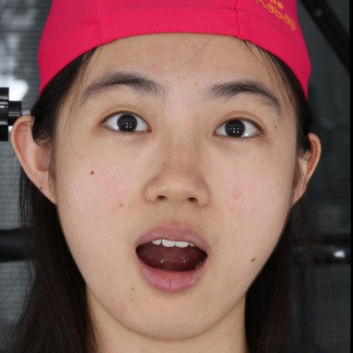 Refer to caption