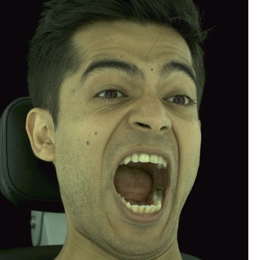Refer to caption