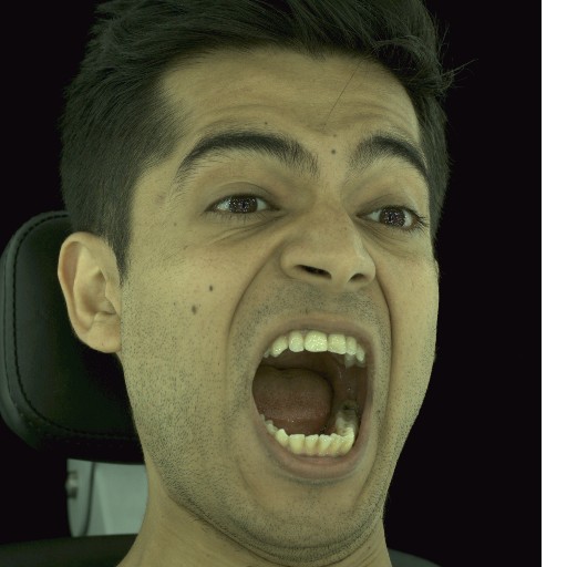 Refer to caption