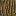 [Uncaptioned image]