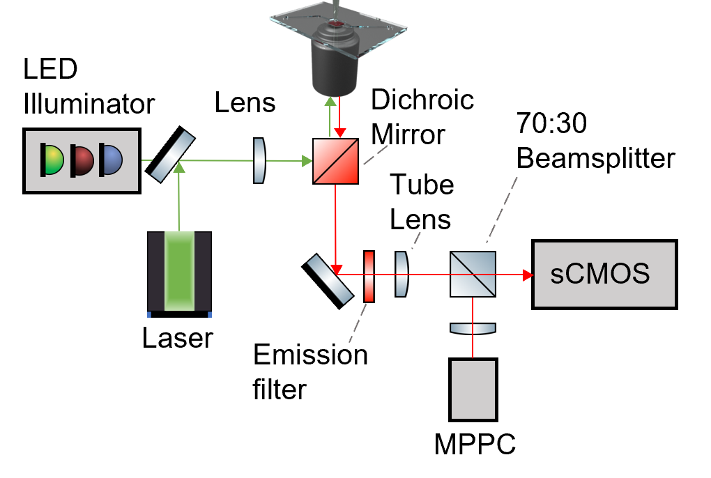 Refer to caption