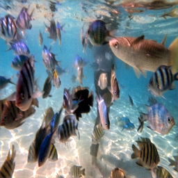 Refer to caption