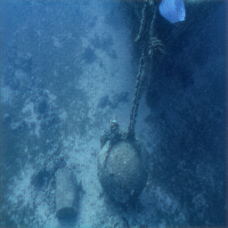 Refer to caption