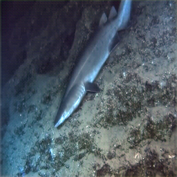 Refer to caption