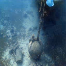 Refer to caption
