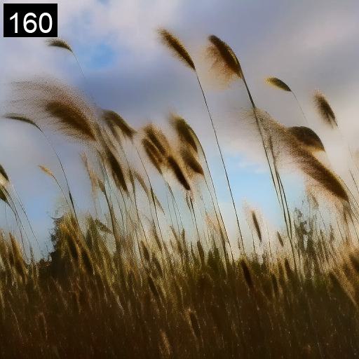 [Uncaptioned image]