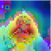 [Uncaptioned image]