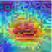[Uncaptioned image]
